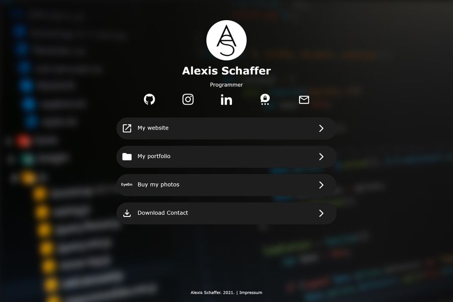 Screenshot of Alexis Schaffer "Link in Bio"